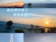 -合肥滨湖国家森林公园