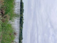 -丁香湖公园