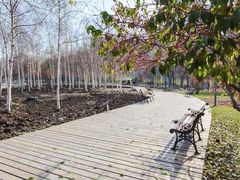 -长春公园(普阳街道)