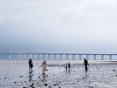 -巽寮印象美食部落餐厅·海鲜·地方特色菜(惠州体验店)