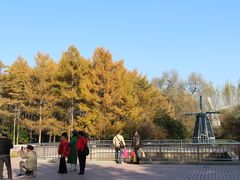 -黑龙江省森林植物园