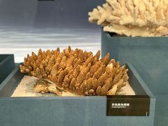 -中国湿地博物馆