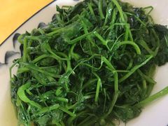 -胖大姐黄辣丁鱼庄(新津店)