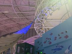 -烟台海昌鲸鲨海洋公园