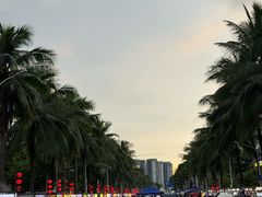 -海大南门夜市(海富街店)