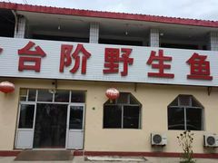 门面-金台阶鱼馆(于桥水库店)