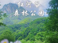 -陕西省红河谷森林公园