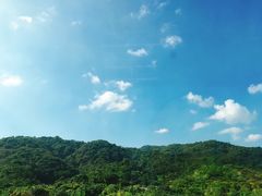-广州市流溪河国家森林公园