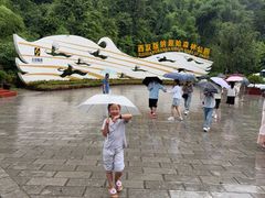 -西双版纳原始森林公园