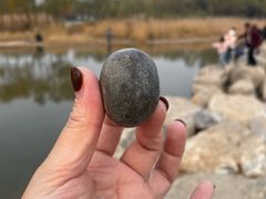 -绿堤公园