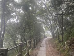 -灵顺寺