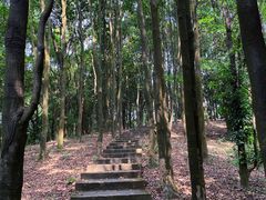 -广州市帽峰山景区