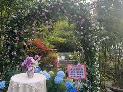 -乖乖佳花园山庄·中餐·聚餐·下午茶(阿哈湖公园店)