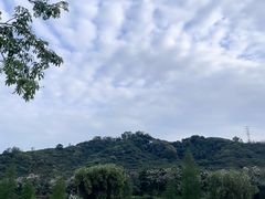 -风云岭森林公园