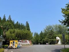 -渡海小渔村.老辈日照菜