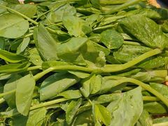 -七欣天香辣蟹火锅(无锡金太湖国际城店)