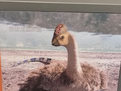 -深海中餐厅(国家海洋博物馆店)