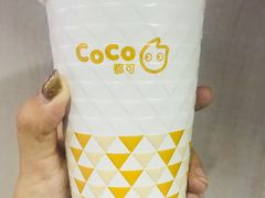-CoCo都可(文星广场店)