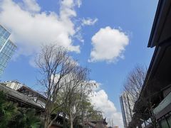 -bluefrog蓝蛙(成都太古里店)