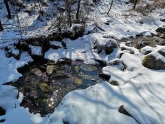 -秦岭风景区