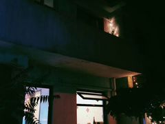 -ZING鲸鱼啤酒(葡萄院店)