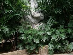 android_upload_pic-龙达温泉生态城
