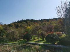 -红旗渠风景区
