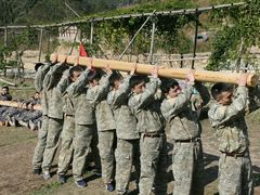 -同福聚新疆大盘鸡(总店)