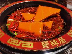 -蜀辣居鲜货老火锅(红牌楼店)