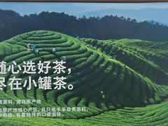 -小罐茶(济南恒隆广场店)