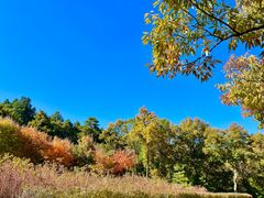 -鹫峰国家森林公园