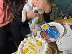 -玲婧胡同·生日蛋糕·餐厅(嘉里城店)