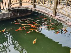 景观位-小榄公饭店·岭南庭院餐厅(民安北路店)
