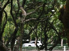 -燕晗山郊野公园