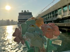 -玩具反斗城(海港城店)