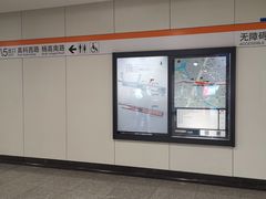 -杨高南路(地铁站)