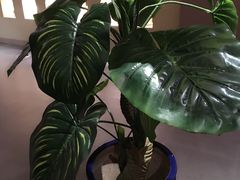 -水立方3号洗浴会馆(曼哈顿店)