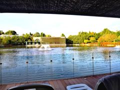 -春晖园度假酒店温泉