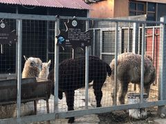 -意大利农场西餐厅(顺义店)