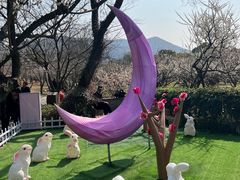 -香雪海
