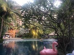 -三亚湾海居铂尔曼度假酒店