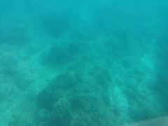 -白沙湾海滩