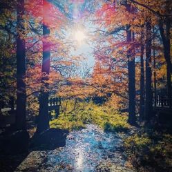 -Oasis Beauty水磨坊科技美肤中心