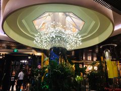 -润园四季椰子鸡火锅(海上世界店)