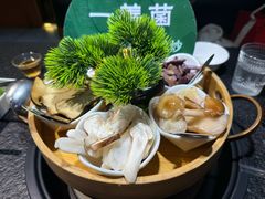-一善菌·云南菌汤·云南菜(银泰城店)