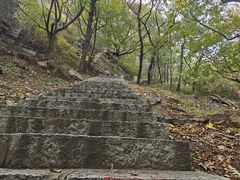 -金龙寺国家森林公园