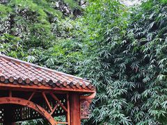-东湖落雁景区