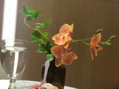 -哈根达斯(朝阳大悦城店)