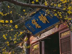 -洛阳白马寺