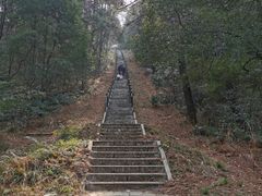 -青龙山国家森林公园
